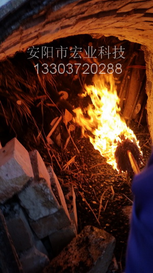 14978836925323911.jpg